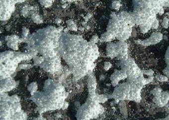This photo shows a close-up view of glass beads in an agglomerated methyl methacrylate (MMA) material on a roadway.