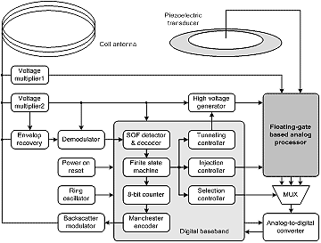 This figure shows is a flowchart of the system architecture of the sensor. It begins in the upper left corner with a coil antenna, which leads to a voltage multiplier 1, voltage multiplier 2, envelope recover, and backscatter modulator. From the voltage multiplier 1, there is a line leading to the floating gate-based analog processor, followed by a multiplexer (MUX) and an analog-to-digital converter. The other voltage multiplier leads to a demodulator, the envelope recovery, and the high-voltage generator, which leads to the floating gate-based analog processor. From the demodulator, there is the state-of-frame (SOF) detector and decoder, which connects to the finite state machine, followed by the 8-bit counter and the Manchester encoder. It then leads back to the backscatter modulator. From the finite state machine, there are three arrows that break off, one leading to the tunneling controller then to the high-voltage generator, the second leading to an injection controller which leads to the floating gate-based analog processor, and the third leading to a selection controller and then to the MUX.