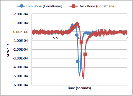 This graph shows the measured longitudinal strain with bone-shaped conathane strain gauges using two different thicknesses. The x-axis shows time, and the y-axis shows strain. There are two lines shown on the graph: the blue one represents the thin bone shape, and the red one represents the thick bone shape. Both lines remain around a strain of zero except for at 6 s when the blue line drops to a strain of -5E-4. Just after 6 s, the red line drops to a stain just below -5E-4.