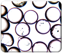 Magnified light table image of AASHTO M247 Type I bead sample included in this study. Image of a bead sample received from a State transportation department for use in the analysis conducted for this report.