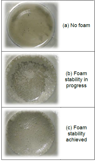 Typical view of three stages of the air-slurry interface. A look from above at a beaker holding slurry during three stages of the foam stability process. A. No foam. A muddy liquid with no bubbles. B. Foam stability in progress. The liquid has some foam at the top. C. Foam stability achieved. The entire surface of the liquid is covered in foam.