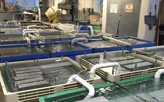 FIGURE 6. View of specimens being cured in interconnected lime water tanks. This image shows multiple interconnected lime water tanks. Grid panels loaded with beams are submerged in each tank. FIGURE 6. View of specimens being cured in interconnected lime water tanks. This image shows multiple interconnected lime water tanks. Grid panels loaded with beams are submerged in each tank.