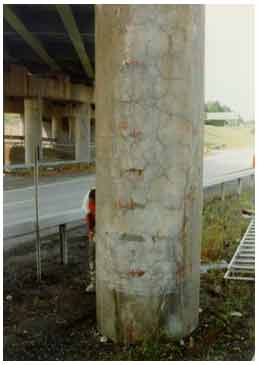 Figure 39. Photo. Second view of cracks and rust staining in patched and nonpatched areas of the columns of the Campus Loop Bridge in Albany, NY, during the second visit in 1996. This photograph shows a second view of cracks and rust staining in patched and nonpatched areas of the columns of the Campus Loop Bridge in Albany, NY, during the second visit in 1996.