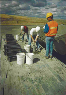 Two crewmen bending over samples and buckets under the watch of a supervisor.