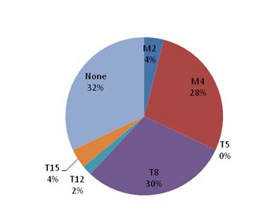 This pie chart shows the distribution of the sections based on the prescribed treatment. In total, 32 percent of the sections do not require any treatment, 4 percent require the 2-year maintenance treatment, 28 percent require the 4-year maintenance treatment, 0 percent require the 5-year corrective treatment, 30 percent require the 8-year corrective treatment, 2 percent require the 12-year corrective treatment, and 4 percent require the 15-year corrective treatment.