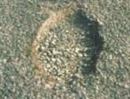 Distress Type ACP 8-Moderate Severity Pothole,  Close-up View