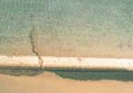 Distress Type CRCP 14-Close-up View of Water Bleeding and Pumping Distress Type CRCP 14-Close-up View of Water Bleeding and Pumping