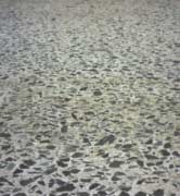 FIGURE 103.  Distress Type CRCP 5 - Polished Aggregate, Color photograph of continuously reinforced concrete pavement with distress type CRCP 5 - polished aggregate.  The photo shows a pavement surface in which the binder has worn away to expose coarse aggregate.