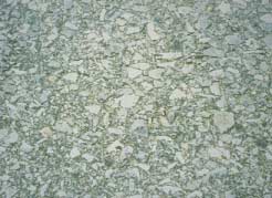 FIGURE 39.  Distress Type ACP 12 - Polished Aggregate, Color photograph of asphalt concrete pavement with distress type ACP 12 - polished aggregate.  The photo shows a pavement surface in which the binder has worn away to expose coarse aggregate.