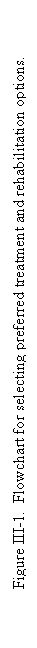 Text Box: Figure III-1.  Flowchart for selecting preferred treatment and rehabilitation options.