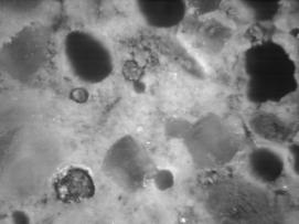 Figure 3-11 (b):  Photographs.  Stereo optical micrographs of air voids filled with sulfate minerals stained with potassium permanganate.  (Note differences due to polishing.)  This figure is comprised of four photographs labeled A, B, C, and D.  Photographs A and B are of ettringite filled voids on polished surfaces.  Photograph A focuses on one filled-void, while photograph B shows at least two filled voids.  The ettringite filled voids are much more evident in Photograph B than A.  Photographs C and D are images of an unpolished surface, both showing air voids filled with sulfate materials.  All air voids appear to be filled in Photographs C and D.