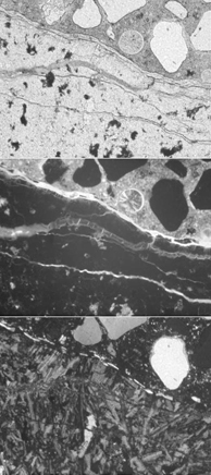  Figure 3-12:  Photographs.  Core SD-090-019-001B, thin-section micrographs of same rhyolite aggregate that was stained with cobaltinitrite ASR stained as shown in Figure 3-9 B.  This figure is comprised of three micrographs, each taken using a different light.  The top micrographs used a transmitted plan polarized light, the middle micrograph was taken in the epifluorescent mode, and the bottom micrograph used a transmitted cross polarized light.  All three show the interface between an aggregate particle and the paste.  In the micrographs, ettringite can be seen filling the entrained air void, ASR gel can be seen in the crack within the aggregate, and hydrocalumite can be seen in the crack along the contact area between the aggregate and the cement paste. This same area was analyzed with the SEM to collect quantitative chemical information about the gel, ettringite, and hydrocalumite. The micrographs represent 90 times magnification.