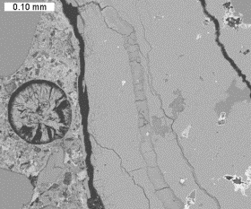  Figure 3-14 (a):  Photographs.  Ettringite in A and hydrocalumite in B infilling in void and crack, respectively.  Example spectra from each phase shown in C and D.  This figure is comprised of four photographs.  Photograph A contains a backscattered electron image of ettringite filling a void.  ASR gel also can be seen filling a crack running through the aggregate particle.  Photograph B contains a backscattered electron image of a crack filled with hydrocalumite.  Photograph C is a spectrum showing that the secondary fill material in the air void is ettringite as the three peaks on the spectrum indicate the presence of aluminum, calcium, and sulfur.  Photograph D is a spectrum from the analysis of the material that is filling the crack in Photograph B.  It is evident that this material is hydrocalumite, as the peaks on the spectrum indicate the presence of aluminum and calcium.