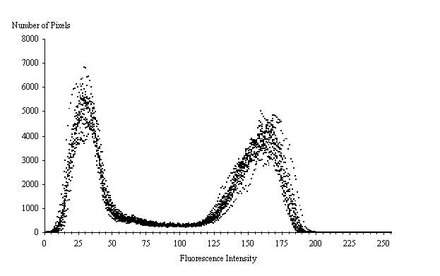  Figure 3-24:  Graph.  Histogram of 16 fluorescence measurements from calibration thin section composed of quartz sand in a dyed epoxy matrix.  This histogram shows how the number of pixels varies by fluorescent intensity.  This is illustrated by multiple dots rising and falling almost simultaneously.  The X axis represents the fluorescence intensity and ranges from 0 to 255.  The Y axis represents the number of pixels and ranges from 0 to 8,000.  The dots rise from zero and peak twice.  The first peak from left to right is at intensity level 25 with a maximum number of slightly less than 7,000 pixels.  The number of pixels then falls to nearly zero, but then rises again to form a second peak at an intensity level of approximately 165 with a maximum of approximately 5,000 pixels.  The first peak represents the dyed epoxy matrix and the second peak represents the quartz sand. 