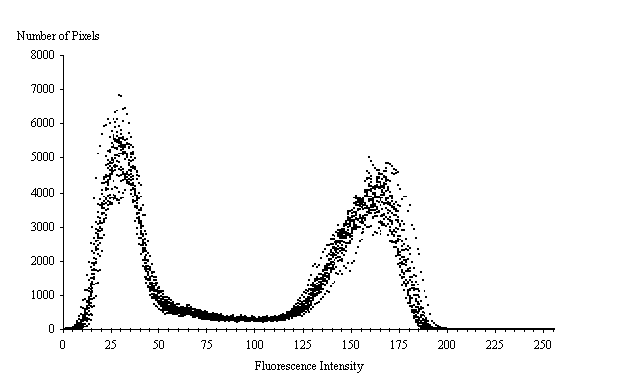  Figure 3-24:  Graph.  Histogram of 16 fluorescence measurements from calibration thin section composed of quartz sand in a dyed epoxy matrix.  This histogram shows how the number of pixels varies by fluorescent intensity.  This is illustrated by multiple dots rising and falling almost simultaneously.  The X axis represents the fluorescence intensity and ranges from 0 to 255.  The Y axis represents the number of pixels and ranges from 0 to 8,000.  The dots rise from zero and peak twice.  The first peak from left to right is at intensity level 25 with a maximum number of slightly less than 7,000 pixels.  The number of pixels then falls to nearly zero, but then rises again to form a second peak at an intensity level of approximately 165 with a maximum of approximately 5,000 pixels.  The first peak represents the dyed epoxy matrix and the second peak represents the quartz sand. 