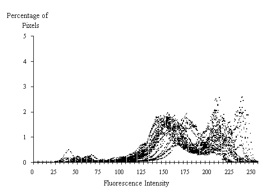  Figure 3-27:  Graph.  Histogram of 30 fluorescence measurements from 0.42 water-cement ratio standard.  This histogram shows how the percent of pixels varies by fluorescent intensity at a water-cement ratio of 0.42.  It is made up of thousands of dots rising and falling almost simultaneously.  The X axis represents the fluorescence intensity and ranges from 0 to 255.  The Y axis represents the percentage of pixels and ranges from 0 to 5 percent.  The line formed by the dots peaks slightly around intensity level 60 with approximately 0.20 percent of the pixels (all levels and percents are estimates), at 150 and 175 with 1.8 percent of the pixels, and at 210 and 235 with 2 percent of the pixels.