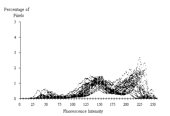 Figure 3-29:  Graph. Histogram of 30 fluorescence measurements from 0.56 water cement ratio standard.  This histogram shows how the percent of pixels varies by fluorescent intensity at a water-cement ratio of 0.56.  It is made up of thousands of dots rising and falling almost simultaneously. The X axis represents the fluorescence intensity and ranges from 0 to 255.  The Y axis represents the percentage of pixels and ranges from 0 to 5 percent.  The line formed by the dots peaks slight at 50 with 0.50 percent of the pixels (all levels and percents are estimates), at 145 with 1.5 percent of the pixels, and at 220 with 2.5 percent of the pixels. 