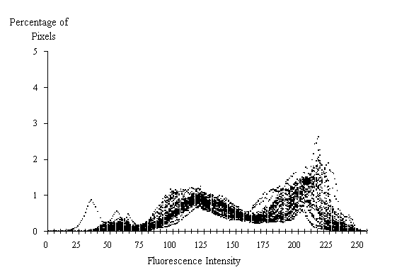 Figure 3-30:  Graph.  Histogram of 30 fluorescence measurements from 0.74 water-cement ratio standard.  This histogram shows how the percent of pixels varies by fluorescent intensity at a water-cement ratio of 0.74.  It is made up of thousands of dots rising and falling almost simultaneously.  The X axis represents the fluorescence intensity and ranges from 0 to 255.  The Y axis represents the percentage of pixels and ranges from 0 to 5 percent.  The line formed by the dots peaks slight at 60 with 0.50 percent of the pixels (all levels and percents are estimates), at 115 with 1.3 percent of the pixels, at 210 with 2 percent of the pixels. 