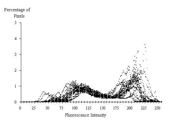  Figure 3-31:  Graph.  Histogram of 30 fluorescence measurements from 0.80 water-cement ratio standard.  This histogram shows how the percent of pixels varies by fluorescent intensity at a water-cement ratio of 0.80.  It is made up of thousands of dots rising and falling almost simultaneously. The X axis represents the fluorescence intensity and ranges from 0 to 255.  The Y axis represents the percentage of pixels and ranges from 0 to 5 percent.  The line formed by the dots peaks slight at 100 with 1.0 percent of the pixels (all levels and percents are estimates), and at 215 with 2.0 percent of the pixels. Note that at 215, a few outlier pixels are found within the 2 to 3 percent range.