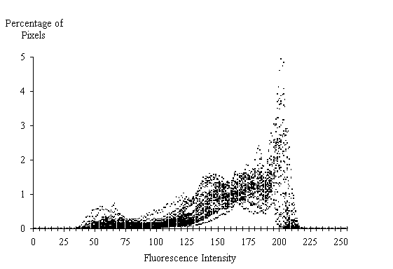  Figure 3-33:  Graph.  Histogram of fluorescence measurements from 1950 concrete from mid-panel of the left-turn lane of site MN-065-064-001.  This histogram shows how the percent of pixels varies by fluorescent intensity.  It is made up of thousands of dots rising and falling almost simultaneously.  The X axis represents the fluorescence intensity and ranges from 0 to 255.  The Y axis represents the percentage of pixels and ranges from 0 to 5 percent.  The line formed by the dots peaks slight at an intensity of 60 with 0.50 percent of the pixels (all levels and percents are estimates), at 100 with 1 percent of the pixels; and at 205 with 3.5 percent of the pixels.  Note that at 205, a few outlier pixels are found in the 4 to 5 percent range.