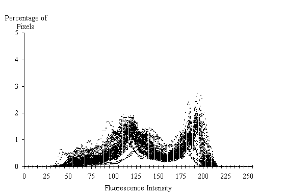  Figure 3-34:  Graph.  Histogram of fluorescence measurements from 1990 concrete from mid-panel of the traffic lane of site MN-065-064-001.  This histogram shows how the number of pixels varies by fluorescent intensity.  It is made up of thousands of dots rising and falling almost simultaneously. The X axis represents the fluorescence intensity and ranges from 0 to 255.  The Y axis represents the percentage of pixels and ranges from 0 to 5 percent.  The line formed by the dots peaks slight at an intensity of 120 with nearly 2 percent of the pixels (all levels and percents are estimates) and at 190 with 2.0 percent of the pixels.  Note that at 190, a few outlier pixels are found in the 2 to 3 percent rage and that are sited measurements are estimates.