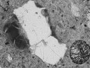  Figure 3-51 (a):  Photographs.  Petrographic micrograph of a tan to red coating observed on some of the fine aggregates that appear to undergo ASR from spall obtained from NC-440-015.  This figure is comprised of three micrographs labeled A, B, and C.  Photograph A uses a transmitted plane polarized light.  The area of note is along the edges of the aggregate particles that appear to have undergone ASR.  Photograph B is in epifluorescent mode.  The areas that have undergone ASR are more evident using this mode and are located along the side of a large aggregate particle at the center of the micrograph.  Photograph C uses a transmitted cross polarized light in which the aggregate appears completely white with all other area appearing as black.