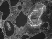  Figure 3-52 (b):  Photographs.  Petrographic micrograph of ettringite and "ASR gel blob" from spall obtained from NC-440-015.  The term ASR gel is misleading in this example, since the reaction product is slightly birefringent and, therefore, crystalline.  This figure is comprised of three micrographs labeled A, B, and C.  Photograph A uses a transmitted plane polarized light.  A large gel "blob" is seen near the right side of the micrograph.  An ettringite filled air void can be seen towards the left side of the micrograph and appears in almost an oval shape.  Photograph B is in epifluorescent mode.  The gel blob and air void can be seen in this micrograph as well.  However, the blob appears darker with some bright cracks running through it.  The air void also appears as a dark spot in the paste.  Photograph C uses a transmitted cross polarized light.  Neither the gel blob or the air void are visible in this picture.  