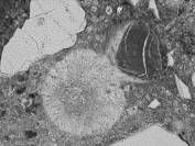  Figure 3-53:  Photographs.  Petrographic micrograph of ettringite intermixed with ASR gel.  As in Figure 3-52, the ASR "gel" in this image is birefringent and crystalline.  This figure is comprised of three micrographs labeled A, B, and C.  Photograph A uses a transmitted plane polarized light.  The ettringite filled air void appears as a light gray circle with the ASR gel attached and shaded in a darker gray.  The ettringite is creeping up around the gel.  Photograph B is in epifluorescent mode and appears similar to Photograph A, but slightly darker.  Photograph C uses a transmitted cross polarized light and is very dark, making distinction of the ettringite and the gel almost impossible.