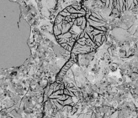  Figure 3-56 (a):  Photographs.  SEM micrograph of ettringite and ASR reaction products.  This figure is comprised of two photographs labeled A and B.  In Photograph A, two ettringite-filled air voids are connected by a crack that is also filled with ettringite.  In Photograph B, an ASR "gel blob" associated with the fine aggregate is shown.  The spectrum shown in Figure 3-57 contain data collected from this deposit.