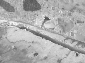  Figure 3-65 (a):  Photographs.  Stereo optical micrographs showing staining observed in core CA-058-141-001C.  This figure is comprised of two micrographs from core CA-058-141-001C labeled A and B.  Photograph A shows a felsic volcanic coarse aggregate particle with a sodium cobaltinitrite yellow stain within the particle.  Photograph B shows an unpolished cut surface that was stained.  Ettringite can be seen in the cracks and voids.