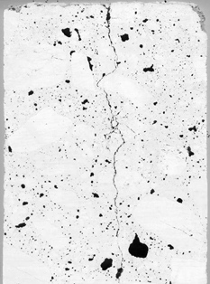  Figure 3-76:  Photograph.  Inverse image of polished cross section of core CA-014-011-001E, through pavement, after painting the surface black and pressing white powder into the voids and cracks.  Image is magnified 1.5 times. This image is of a cross section of a core specimen and was taken using stereo optical microscopy and then magnifying the image using a flatbed scanner and personal computer.  In the image, the cracks and aggregate appear as black lines.  A crack runs the entire length of the image and at one point jogs around a large aggregate grain. This pattern formed by the crack suggests both plastic and drying shrinkage.