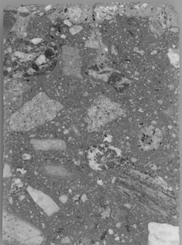  Figure 3-79:  Photograph.  Phenolphthalein stained polished slab showing carbonation along plastic shrinkage crack.  This image shows the presence of carbonation along the plastic shrinkage crack. The image is magnified 1.5 times.