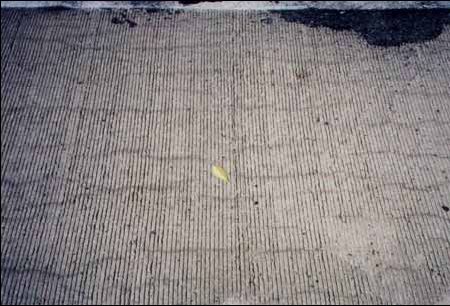 The figure consists of 9 photographs of typical areas of each test section of the Newark test site. Photograph B-1-A shows control section 1, C 1; photo B-1-B shows test section 1, T S 1; photo B-1-C shows test section 2, T S 2; photo B-1-D shows control section 2, C 2; photo B-1-E shows control section 3, C 3; photo B-1-F shows control section 4, C 4; photo B-1-G shows test section 3, T S 3; photo B-1-H shows test section 4, T S 4; and photo B-1-I shows control section 5, C 5.