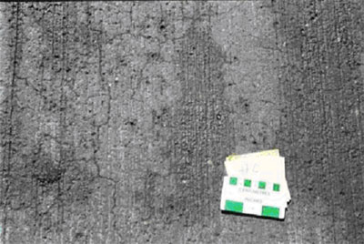 Figure 16. Photo. Control Section with Placitas-February, 1999. The surface of the concrete pavement contains dense, fine cracks.