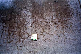 Figure 17. Photo. Section with Class C Fly Ash and Placitas-February, 1999. The surface of the concrete pavement contains dense, fine cracks.