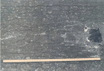This figure shows an irregular pattern of cracks on the surface of a concrete slab. 