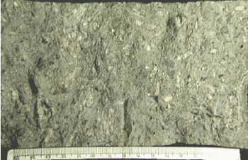 Fractured face of splitting tensile specimen is shown with the coarse aggregates visible on the fractured surface. Aggregate fracture and deterioration as well as secondary deposits can be seen.