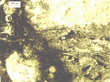 Thin section prepared from concrete sample showing aggregate crack in one of the aggregate particles as observed through a petrographic microscope.