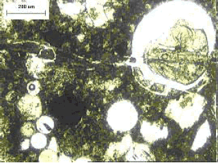 The reaction product exhibits birefringence. Voids appear bright white and any crystallized A S R products within them stand out clearly.