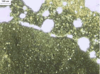 In the plane polarized light, the adjacent altered paste is seen in bright white circles and streaks that border the A C R rock. 