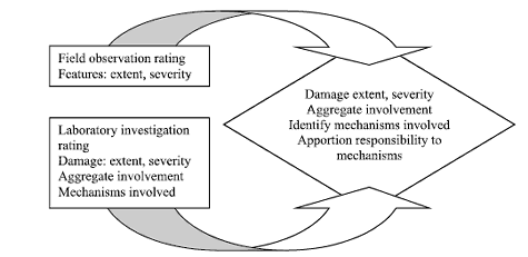 Shown is a diagram with two text boxes. The top one is for field observation rating and states Features: extent, severity. The bottom box is for the laboratory investigation rating and states: Damage: extent, severity; aggregate involvement; mechanisms involvement. Large arrows from each of these boxes point to a third diamond-shaped box showing some example conclusions from an investigation: damage extent, severity; aggregate involvement; identify mechanisms involved; apportion responsibility to mechanisms. 