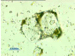 This image shows alite crystals. The only portion of these crystals that stands out clearly is their outline.