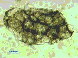 This image is of a belite cluster with darker interstitial aluminate and ferrite that stands out sharply.