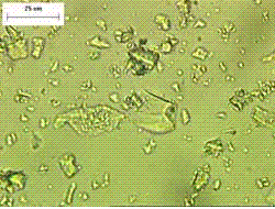 Slag particles are up to about 25 micrometers in longest dimension and appear rather translucent and glassy.