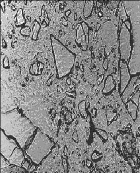 Compare figures 141–143. In all the slag concentration is 65 percent of the cementitious material.