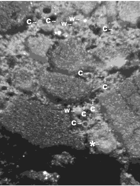 Partial fly-ash particles are pointed out in the photo and categorized in three types. A frothy fly-ash agglomeration is hazy white. Cenospheres filled with froth or many cenospheres are small black circles. Cup shaped portions of cenospheres are white circles with black in the concave center.