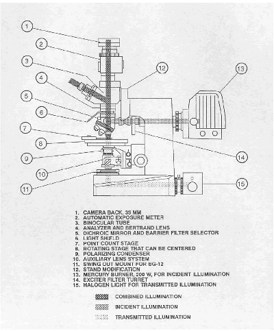 The schematic shows 15 components of the P/ E F microscope: 1. Camera back, 35 mm; 2. automatic exposure meter; 3. binocular tube; 4. analyzer and Bertrand lens; 5. dichroic mirror and barrier filter selector; 6. light shield; 7. point counter stage; 8. rotating stage that can be centered; 9. polarizing condenser; 10. auxiliary lens system; 11. swing out mount for B G-12; 12. stand modification; 13. mercury burner, 200 Watts, for incident illumination; 14. exciter filter turret; and 15. halogen light for transmitted illumination. It also shows the path of the three types of illumination. The combined illumination can be viewed from both the binocular tubes in front of the microscope and the exposure meter/camera on the top. The incident illumination enters from a mercury burner in the back and joins the transmitted illumination at the objective lens. The transmitted illumination enters from a halogen light built in the lower back. This light goes through the polarizing condenser. Located below the stage mount and meets the other light stream at the stage mount. 