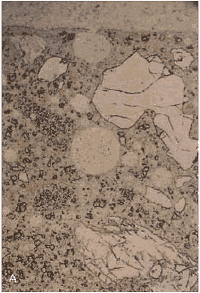 Three views of the thin section are shown in figures 156 to 158. This figure 156 is of the surface exposed to the air at the top. 