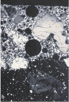 Photo. Same view as figure 156, but viewed with crossed nicols: Bright area shows the high birefringence of the calcite of the carbonated area.