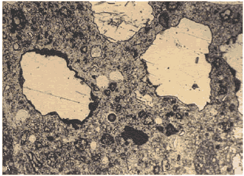 There are numerous reentrant angles. The thin section is viewed with plane-polarized lighting that shows the texture of the components.